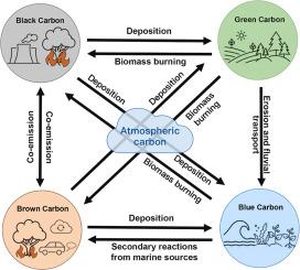 Interactions between black, brown, blue and green carbon from terrestrial to marine ecosystems: A critical review