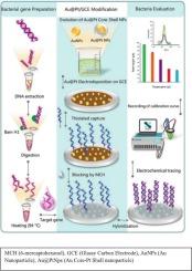 Bimetallic core-shell nano-architecture of Au@Pt as an effective electrochemical mediator for ultrasensitive detection of Listeria monocytogenes in cerebrospinal fluid