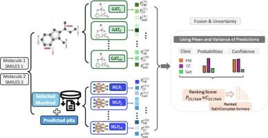 Machine learning-driven discovery of multicomponent pharmaceutical solid forms via DualNet: confidence-aware prediction and ranking of salts and cocrystals