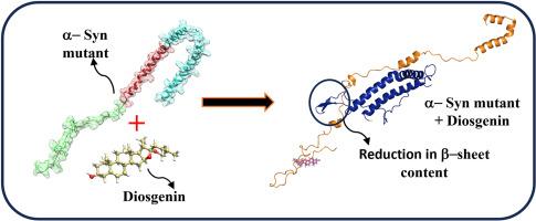 Diosgenin reduces β-sheet content in mutated α-syn aggregation: Insights from conformational dynamics at intracellular and extracellular neuronal salt concentrations