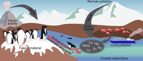 Occurrence and sources of pollutants in the soils of penguin colonies in the South Shetland Islands, North-West coast of the Antarctic Peninsula