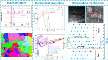Unveiling ultra-high plasticity and the mechanism of microstructural evolution in semi-solid squeeze-cast leaded nickel-tin bronze through solution treatment