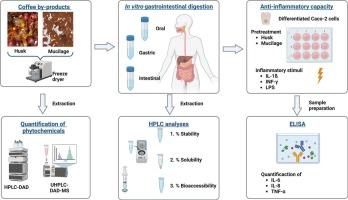 Bioaccessibility and anti-inflammatory activity in Caco-2 cells of phytochemicals from industrial by-products of coffee (Coffea arabica L.)