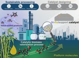 A comprehensive review of the catalytic transformation for biomass derivatives into high-value fuels and chemicals over bimetallic Ni-Re catalysts