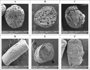 Design and Evaluation of Compritol®-Based Mesalazine Pellets and Tablets for Sustained Release Throughout the Gastrointestinal Tract