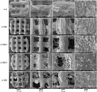 Alginate-Xanthan Nanocomposite Scaffolds Incorporating Copper-Doped Bioactive Glass for Novel Tissue Engineering Potential in Regenerative Endodontics