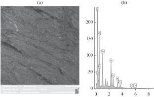 Morphology of the Surface of Natural Leather after Laser Exposure