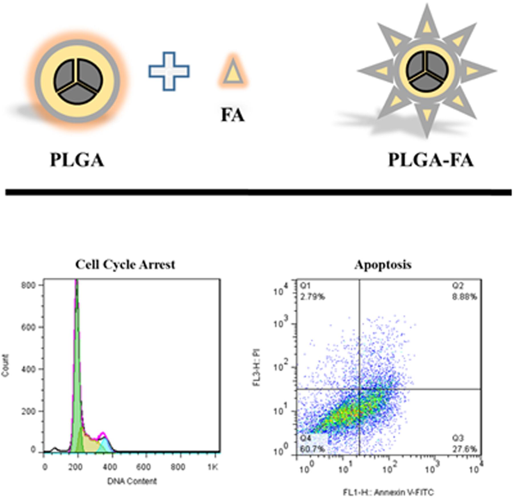 Folic Acid-Chitosan-PLGA Nano Delivery System Against Liver Cancer Cells: In Vitro Studies