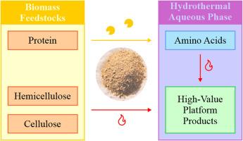 Conversion of high-value products from biomass aqueous phase through enzymatic-hydrothermal treatment