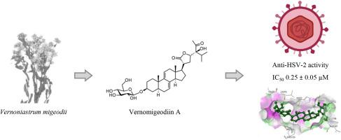 Vernomigeodiins A–D, highly oxygenated stigmastane-type steroids isolated from Vernoniastrum migeodii with anti-herpes simplex virus activity