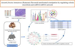 Aurantii fructus immaturus (Rutaceae) flavonoid ameliorated constipation by regulating colonic microbiota and miRNA/mRNA network
