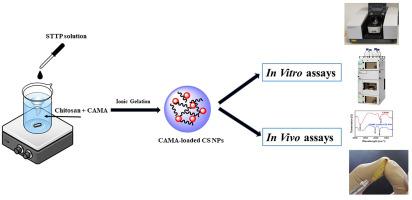 Chitosan nano-encapsulation enhances targeted delivery of cecropin-A (1–7)-Melittin peptide to combat intracellular multi-drug-resistant non-typhoidal Salmonella