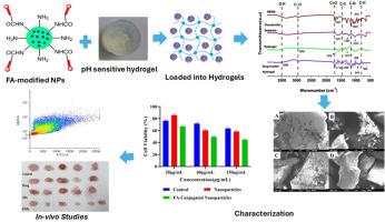 Chondroitin Sulphate-based hydrogels loaded with folic acid-functionalized nanoparticles to target colorectal cancer