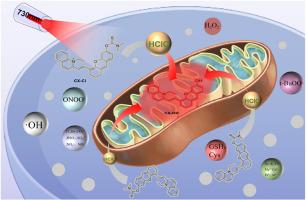 A mitochondria-targeted near-infrared fluorescent probe for HClO imaging in living cells and zebrafish