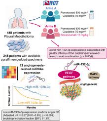 MiR-193b-3p and miR-132-3p as prognostic biomarkers of survival in pleural mesothelioma patients treated with first-line bevacizumab plus pemetrexed-platinum chemotherapy in the IFCT-0701 MAPS phase 3 trial