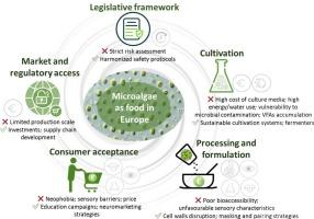 Microalgal biomass in the European food industry: navigating regulation, technological innovation, and consumer acceptance