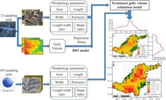 Quantifying permanent gully erosion: Spatial patterns, volume estimation, and morphological dynamics in the loess hilly and gully region of China