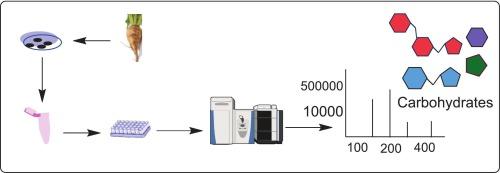 Quantification of carbohydrates in sugar beet roots by using ultra-fast liquid chromatography coupled with time of flight mass spectrometry