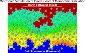 Microscale simulation of water desalination in Direct Contact Membrane Distillation