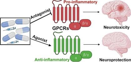 G-protein coupled receptors in neuroinflammation, neuropharmacology, and therapeutics