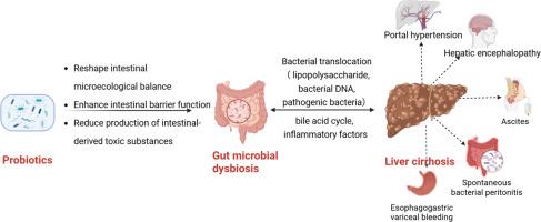 Probiotics for the Management of Liver Cirrhosis and Its Complications