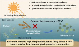 Unprecedented high-temperature triggers a rapid shift in ecological characteristics of phytoplankton succession in the southern coastal waters of Korea