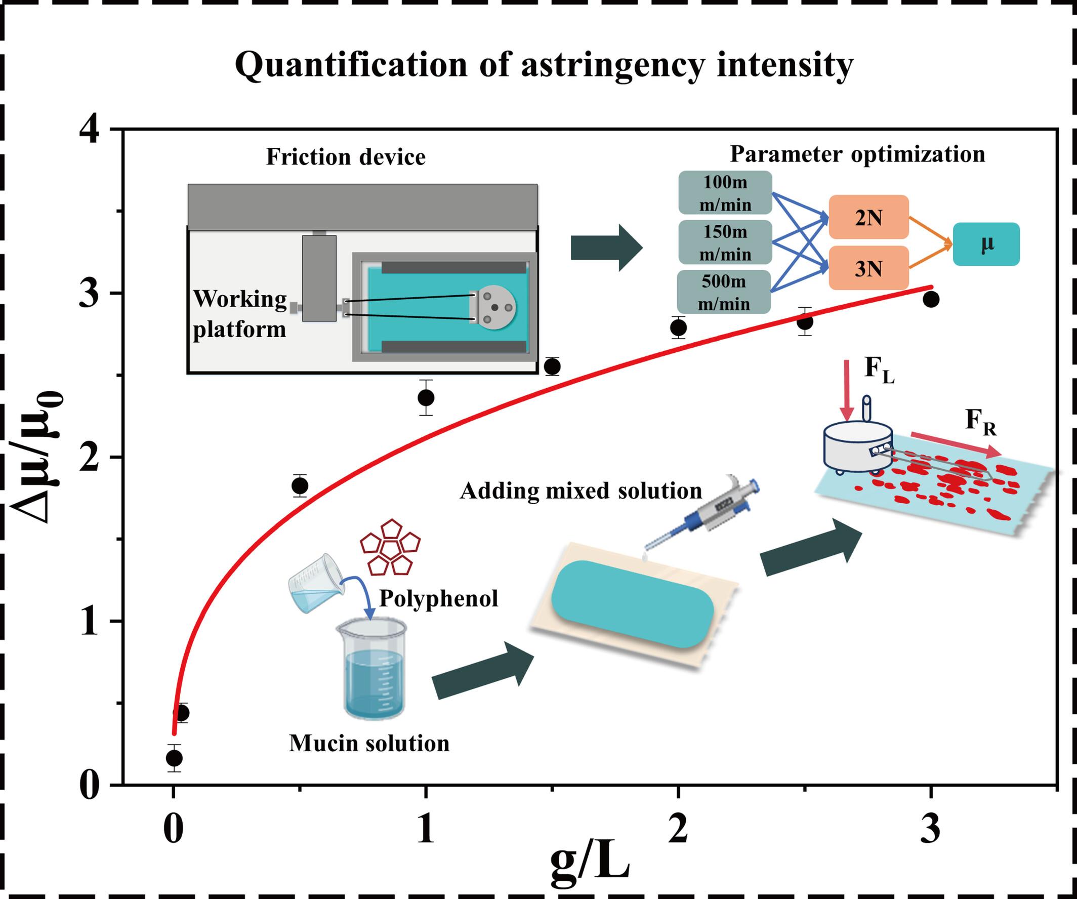 An In Vitro Tribological Astringency Assessment Method Based on Astringency Perception Mechanism