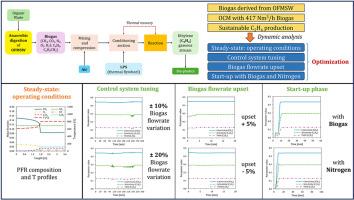 Dynamic analysis of the oxidative coupling of methane (OCM) process to produce sustainable ethylene from biogas derived from organic fraction of municipal solid waste (OFMSW)