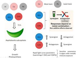 Exposure to metals and metallic mixtures at environmental concentrations impairs photosynthesis and microalgal biomass production: A lab study with Raphidocelis subcapitata (Chlorophyceae)