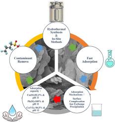 Sustainable remediation of mixed heavy metals using hydrothermal and in-situ synthesis of Mg/Al-LDHs