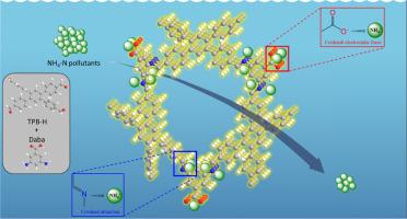 Acid-functionalized porous polymer as an adsorbent for the highly efficient removal of ammonia nitrogen from aqueous solutions