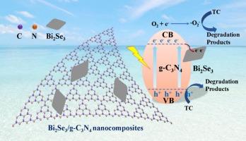 Interfacially enhanced visible-light photocatalysis for tetracycline degradation with Bi2Se3/g-C3N4 nanocomposite