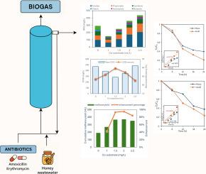 Enhanced antibiotic removal by anaerobic co-digestion in an Expanded Granular Sludge Bed (EGSB) reactor treating real pharmaceutical wastewater: From lab-scale to pilot-plant application