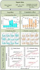 The response of water-carbon coupling to drought stress in terrestrial ecosystems in China
