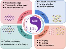 Insight into Bi-Sb alloys and their chalcogenide compounds for sodium/potassium ion battery (SIB/PIB) anodes