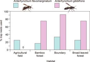 Nesting habitat and prey preferences in two caterpillar-hunting Anterhynchium species (Hymenoptera: Vespidae: Eumeninae)