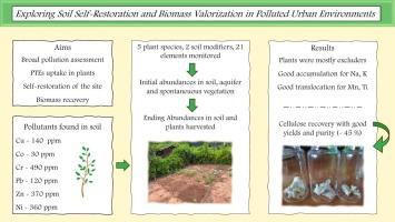 Assessing PTEs in a polluted urban green environment and proposing sustainable approaches for its recovery