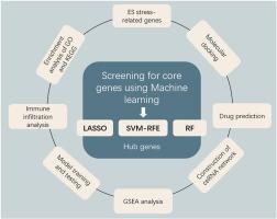 Exploration of endoplasmic reticulum stress-related gene markers in amyotrophic lateral sclerosis: a comprehensive analysis of bioinformatics and machine learning