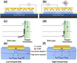 Comprehensive performance analysis of diamond Schottky diodes with argon-ion-modified oxygen-terminated surfaces