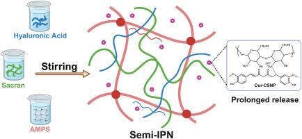 Sacran-based semi-IPN hydrogel with prolonged drug release from curcumin/chitosan nanoparticle and broad bioactivity