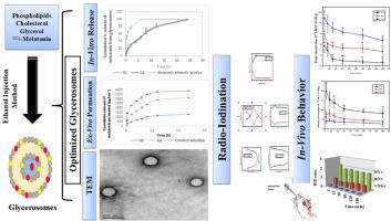 Glycerol-based soft vesicular systems for nose to brain delivery of 131I-melatonin: Synthesis, characterization, biodistribution and Pharmacokinetic investigations