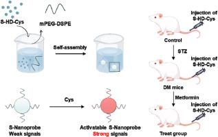 Sulfur-Substituted Hemicyanine Nanosensors Enable Noninvasive Evaluation of Diabetic Liver Dysfunction through Cysteine Detection