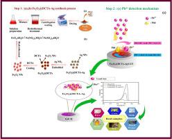 A novel Fe2O3@DCTA-Ag nanocomposite sensor for lead detection: Box-Behnken design optimization and real-world applications