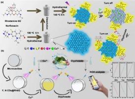 A portable smartphone-integrated microcavity sensor based on rhodamine 6G-functionalized carbon dots for ratiometric determination of Cu2+ and glyphosate