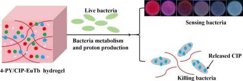 Lanthanide metallohydrogel with multicolor luminescence for visual sensing and in situ treatment of bacterial infections