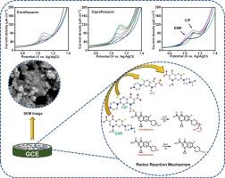 Development of a low-cost zirconium molybdate bimetallic center electrochemical sensor for simultaneous enrofloxacin and ciprofloxacin detection in food samples