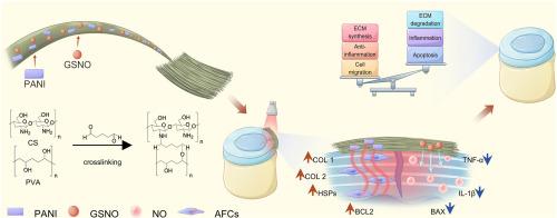 Photothermal-triggered NO-releasing nanofiber membrane mitigates intervertebral disc degeneration via inflammation inhibition and matrix stabilization