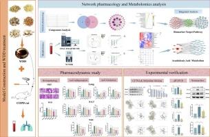 Integrated network pharmacology, metabolomics and experimental validation to reveal the pharmacological substances and mechanism of Wendan decoction on chronic obstructive pulmonary disease