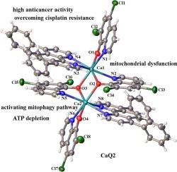 Development of six novel dinuclear calcium(II) complexes based on 8-hydroxyquinoline as anticancer agents