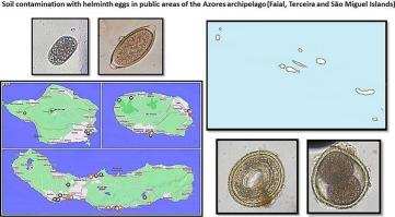 Soil-transmitted helminth eggs in public areas of Azores archipelago, Portugal